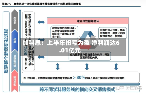 加科思:上半年扭亏为盈 净利润达6.01亿元
