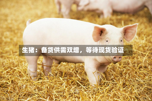 生猪：备货供需双增，等待现货验证-第1张图片