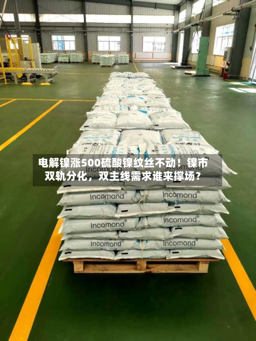 电解镍涨500硫酸镍纹丝不动！镍市双轨分化，双主线需求谁来撑场？-第1张图片