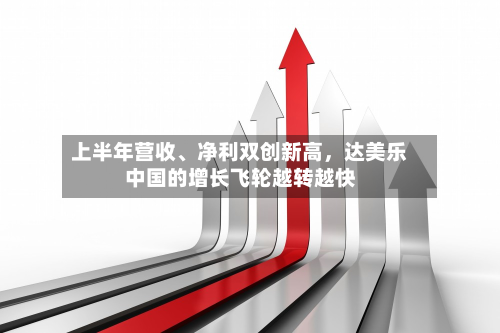上半年营收、净利双创新高，达美乐中国的增长飞轮越转越快-第3张图片