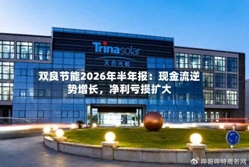 双良节能2026年半年报：现金流逆势增长，净利亏损扩大-第3张图片