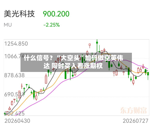 什么信号?“大空头”加码做空英伟达 同时买入看涨期权