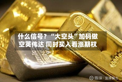 什么信号？“大空头”加码做空英伟达 同时买入看涨期权-第2张图片