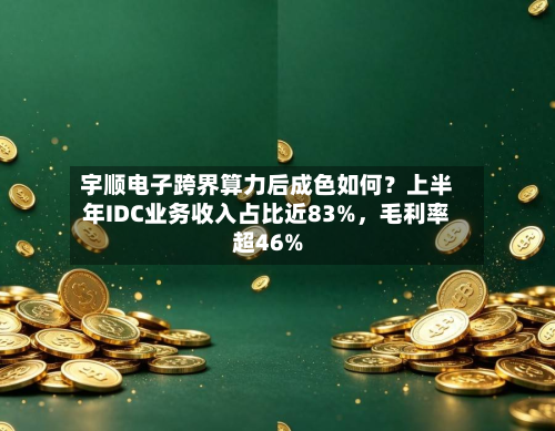 宇顺电子跨界算力后成色如何？上半年IDC业务收入占比近83%，毛利率超46%-第3张图片