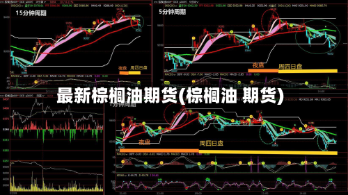最新棕榈油期货(棕榈油 期货)