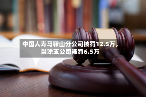 中国人寿马鞍山分公司被罚12.5万，当涂支公司被罚6.5万-第2张图片