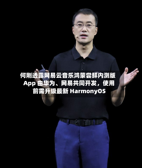 何刚透露网易云音乐鸿蒙尝鲜内测版 App 由华为、网易共同开发，使用前需升级最新 HarmonyOS-第2张图片