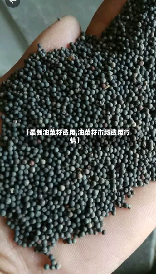 【最新油菜籽费用,油菜籽市场费用行情】-第2张图片