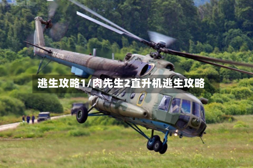 逃生攻略1/肉先生2直升机逃生攻略-第2张图片