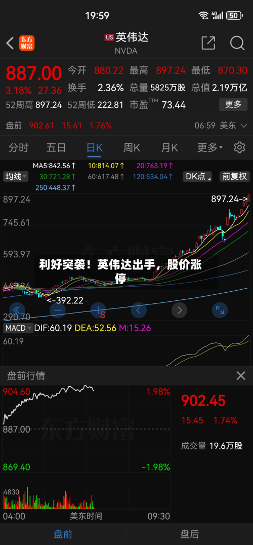 利好突袭！英伟达出手，股价涨停