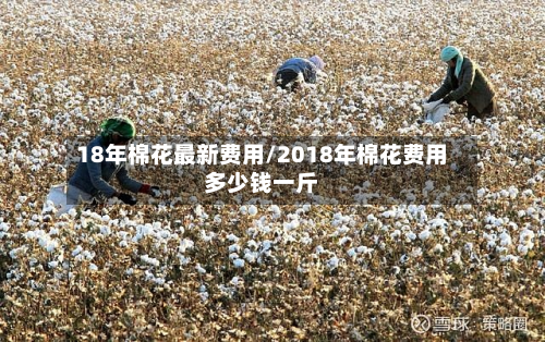 18年棉花最新费用/2018年棉花费用多少钱一斤-第2张图片
