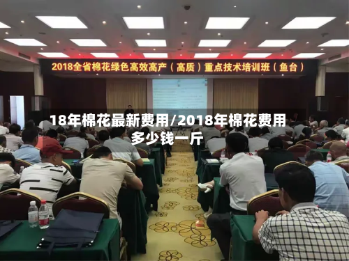 18年棉花最新费用/2018年棉花费用多少钱一斤-第3张图片