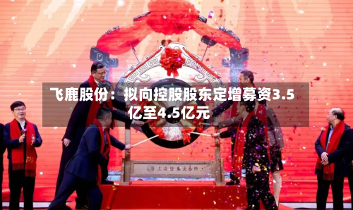 飞鹿股份：拟向控股股东定增募资3.5亿至4.5亿元-第2张图片