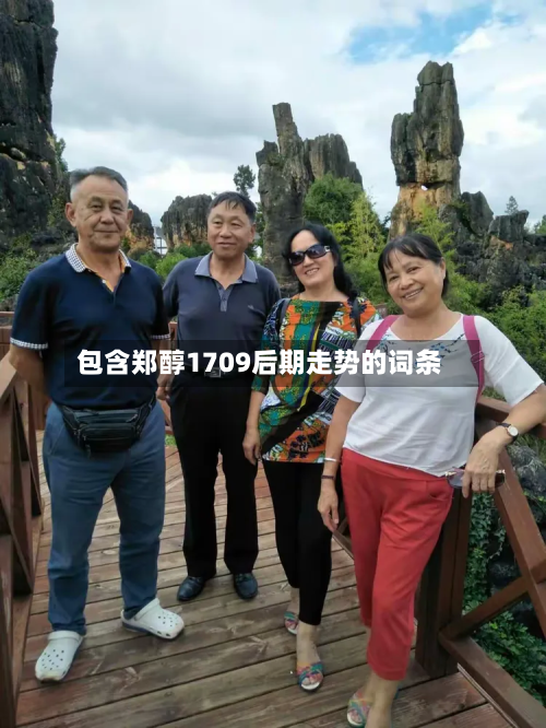 包含郑醇1709后期走势的词条