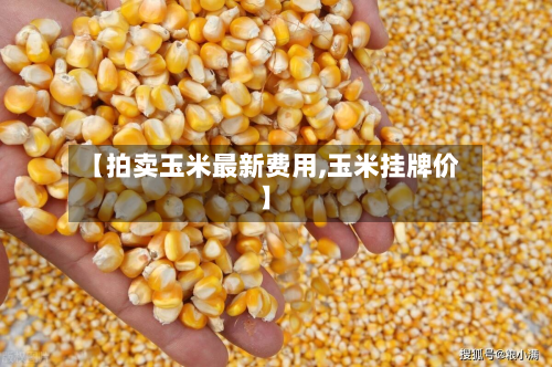 【拍卖玉米最新费用,玉米挂牌价】-第3张图片