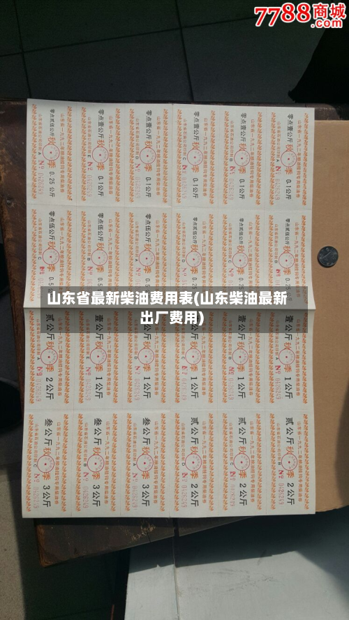 山东省最新柴油费用表(山东柴油最新出厂费用)