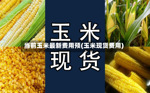 当前玉米最新费用预(玉米现货费用)