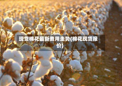 现货棉花最新费用走势(棉花现货报价)-第2张图片