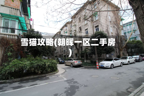 雪猫攻略(朝晖一区二手房)