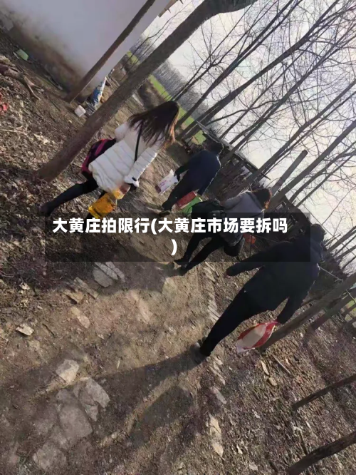 大黄庄拍限行(大黄庄市场要拆吗)-第2张图片