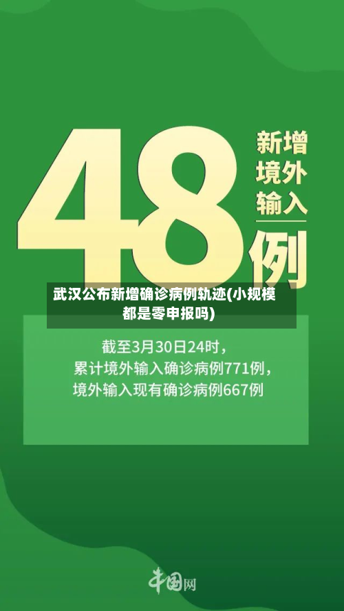 武汉公布新增确诊病例轨迹(小规模都是零申报吗)-第3张图片