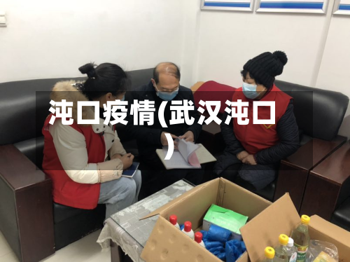 沌口疫情(武汉沌口)-第3张图片