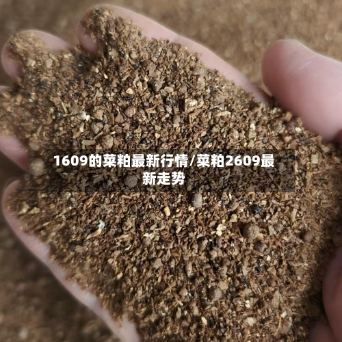 1609的菜粕最新行情/菜粕2609最新走势