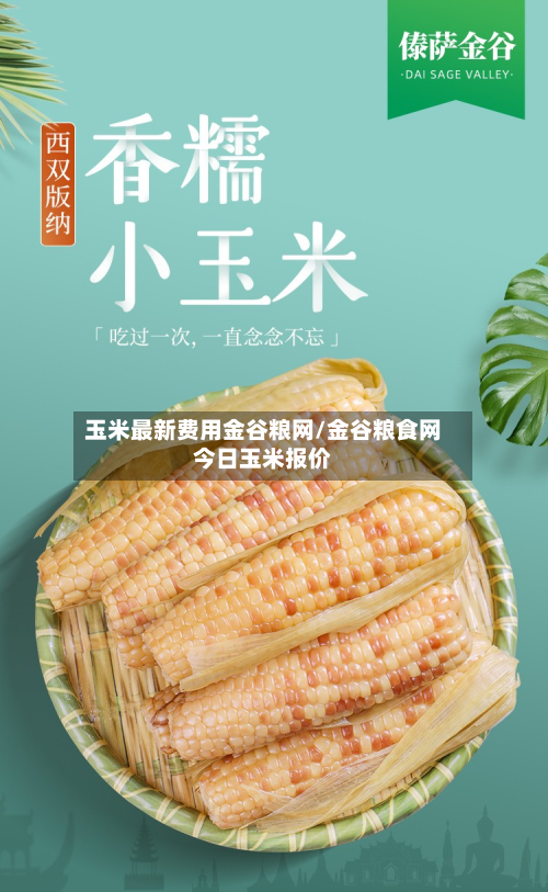 玉米最新费用金谷粮网/金谷粮食网今日玉米报价