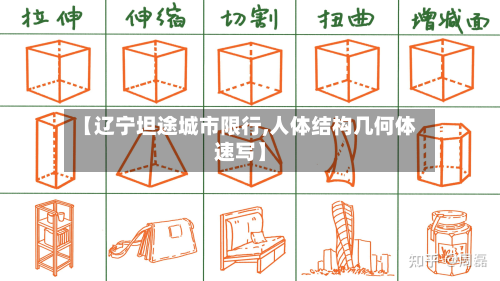 【辽宁坦途城市限行,人体结构几何体速写】-第2张图片