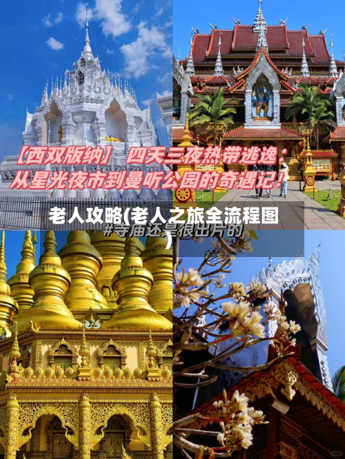 老人攻略(老人之旅全流程图)