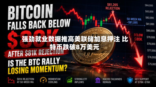 强劲就业数据推高美联储加息押注 比特币跌破8万美元