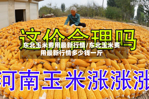 东北玉米费用最新行情/东北玉米费用最新行情多少钱一斤